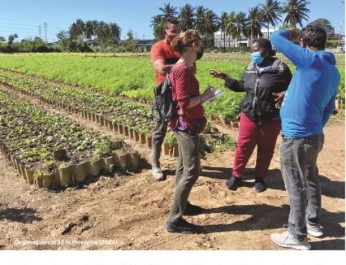 Ver­an­stal­tung zu öko­lo­gi­scher und urba­ner Agri­kul­tur in Cuba in St. Gal­len (27.11.22)