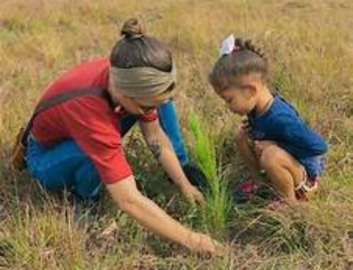 Hab­lar y apren­der del Eco­fe­mi­nis­mo, una urgencia